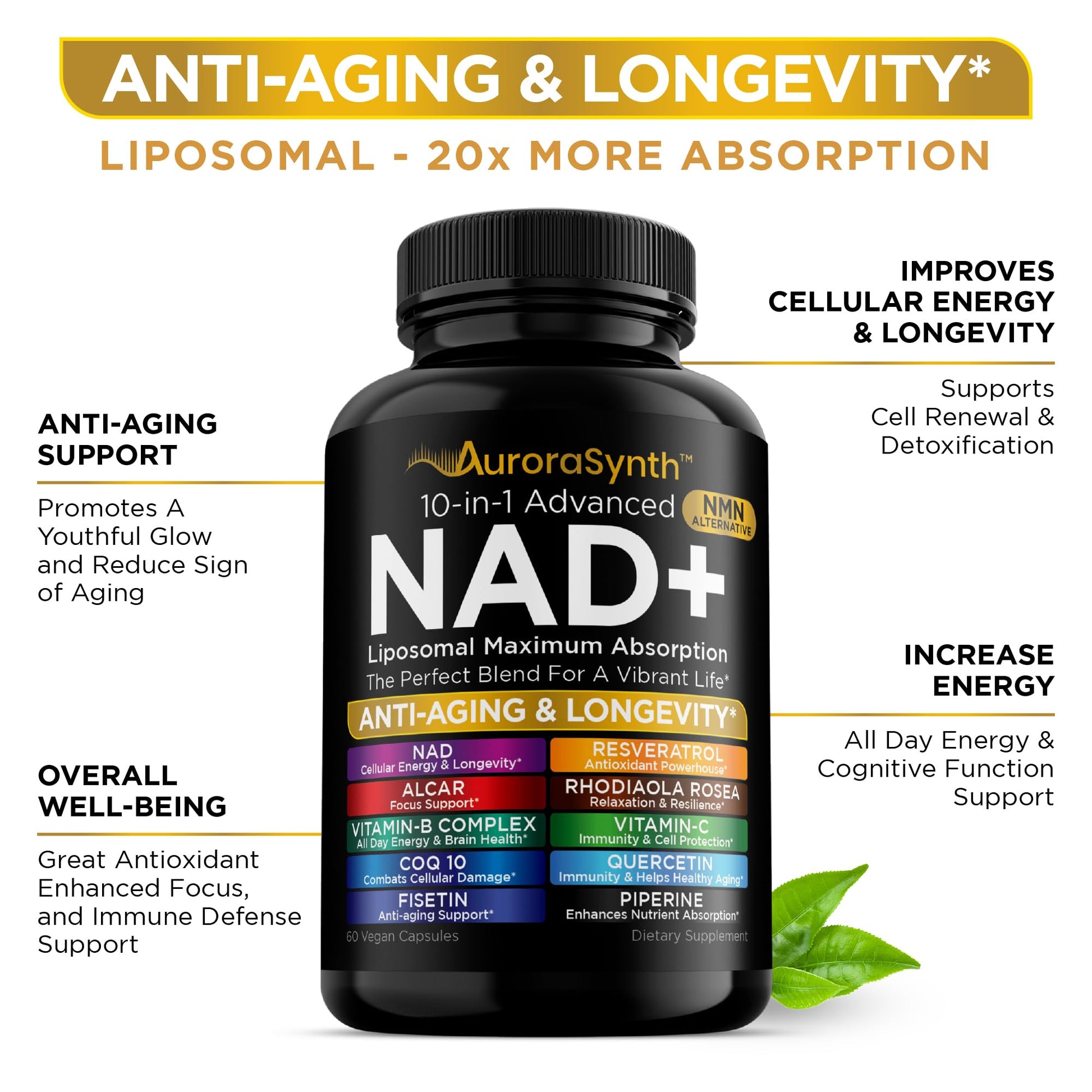 NAD+ Supplement Liposomal Capsules - Max Absorption for Cellular Energy, Healthy Aging, Brain Function & DNA Health - Vegan, Non-GMO, Gluten-Free Supplement - 60 Capsules - Supports NAD Levels AuroraSynthBuy Supplements Australia