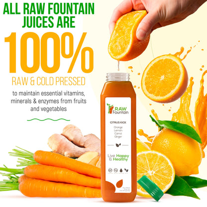 Raw Fountain 1 Day Juice Cleanse, All Natural Detox Cleanse, Cold Presssed Fruit Raw FountainBuy Supplements Australia