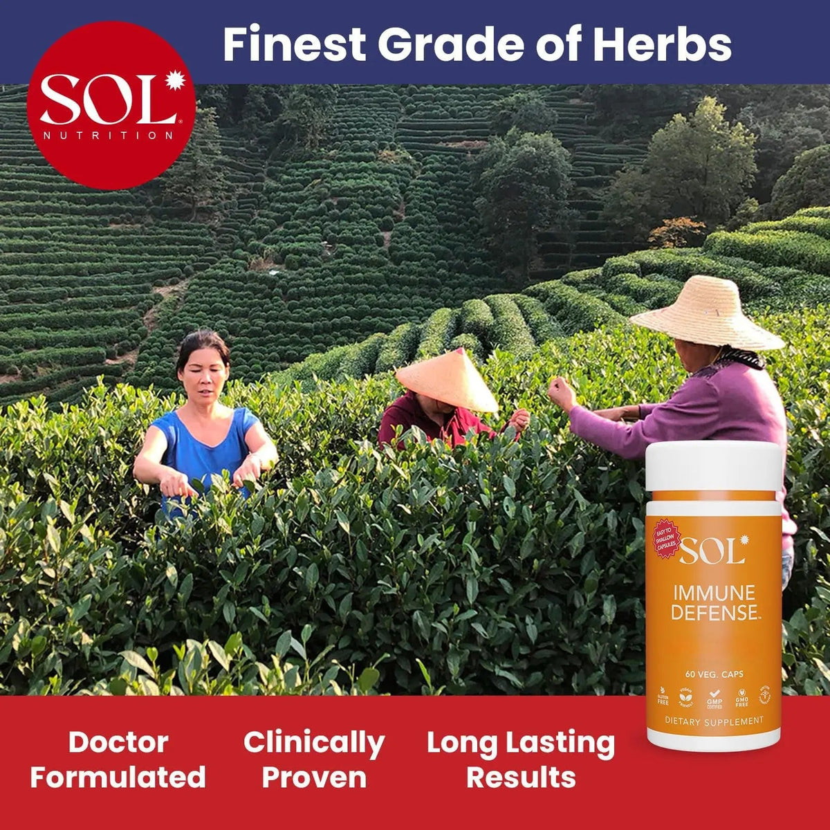 Immune Defense Supplement: Clears Allergens, Builds Strong Immune System, 15X More Powerful, Astragalus, Goto Kola, Andrographis Sol NutritionBuy Supplements Australia