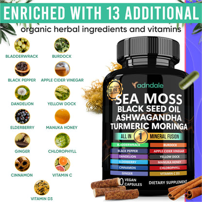 Adndale Sea Moss Capsules - Sea Moss Blend with Ashwagandha, Turmeric- 90 Count
