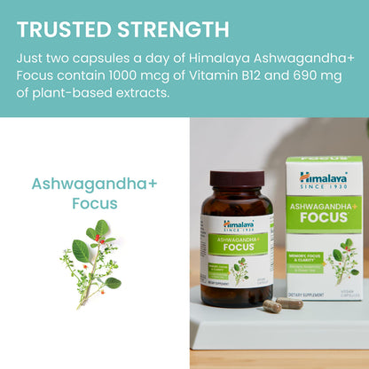 Himalaya Ashwagandha+ Focus - Herbal Focus Supplement with B12, Rosemary, Green Tea, and Bacopa Nootropics for Memory and Clarity - Vegan, Non-GMO, Gluten Free, 1690 mg, 60 Caplets HimalayaBuy Supplements Australia
