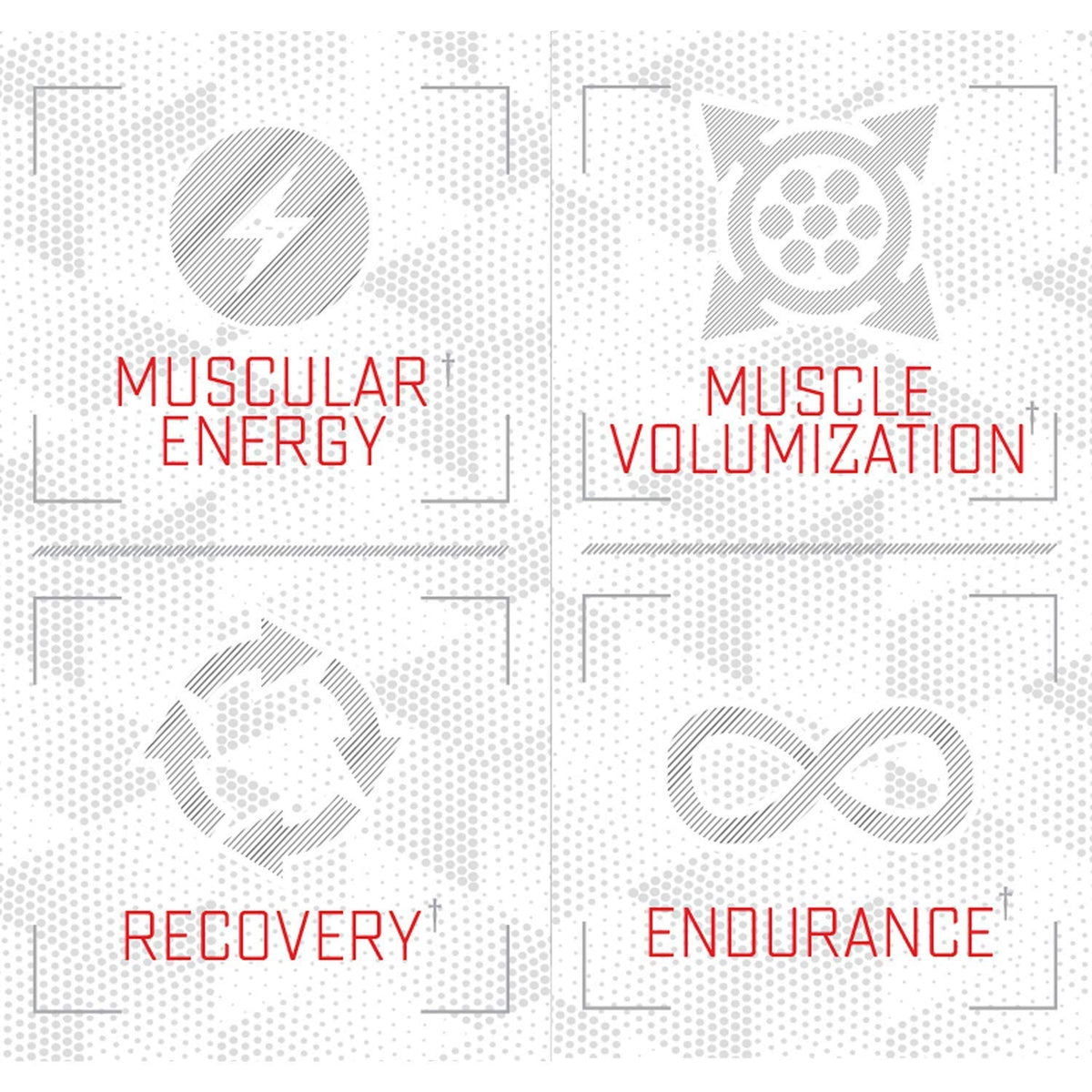 Purus Labs Foundation Series Citrulline Malate Powder | Active Amino Acid L-Citrulline | Strength, Volume, & Recovery | 100 Servings (Unflavored)