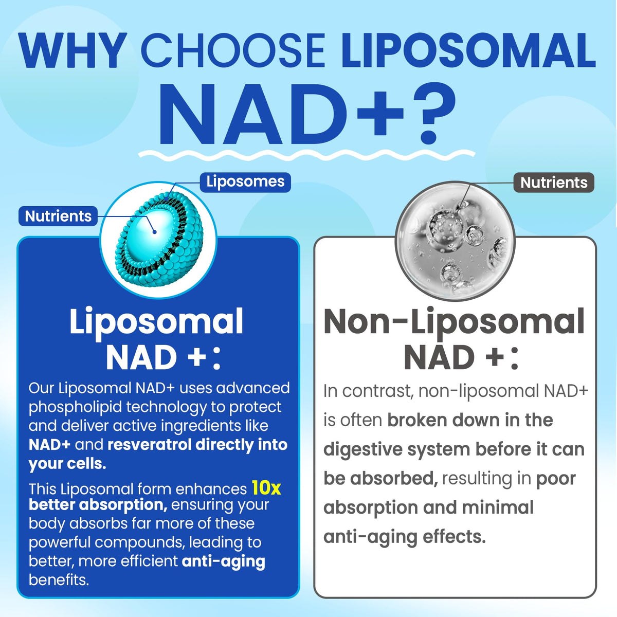 Liposomal Nad+ Supplement for Women, Men - Max Absorption Nad Gummies Plus Resveratrol, Fisetin, Quercetin, TMG, Caffeine, B12 for Aging Defense, Energy & DNA Repair, Skin, Brain, Antioxidant - 60Cts NextdiaBuy Supplements Australia