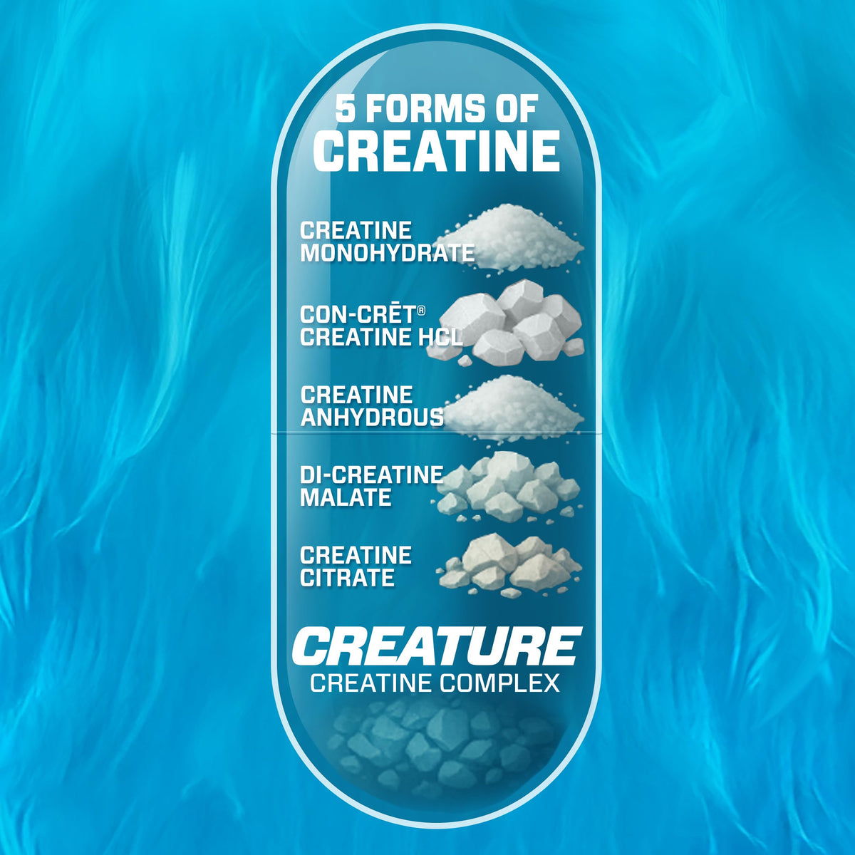 CREATURE® Creatine Complex - Creatine Monohydrate Capsules with 5 Types of Creatine Including Con-Crēt® Creatine HCL, Promotes Muscle, Strength, Endurance, Brain Health, 180 Veggie Caps, 60 Servings CREATUREBuy Supplements Australia