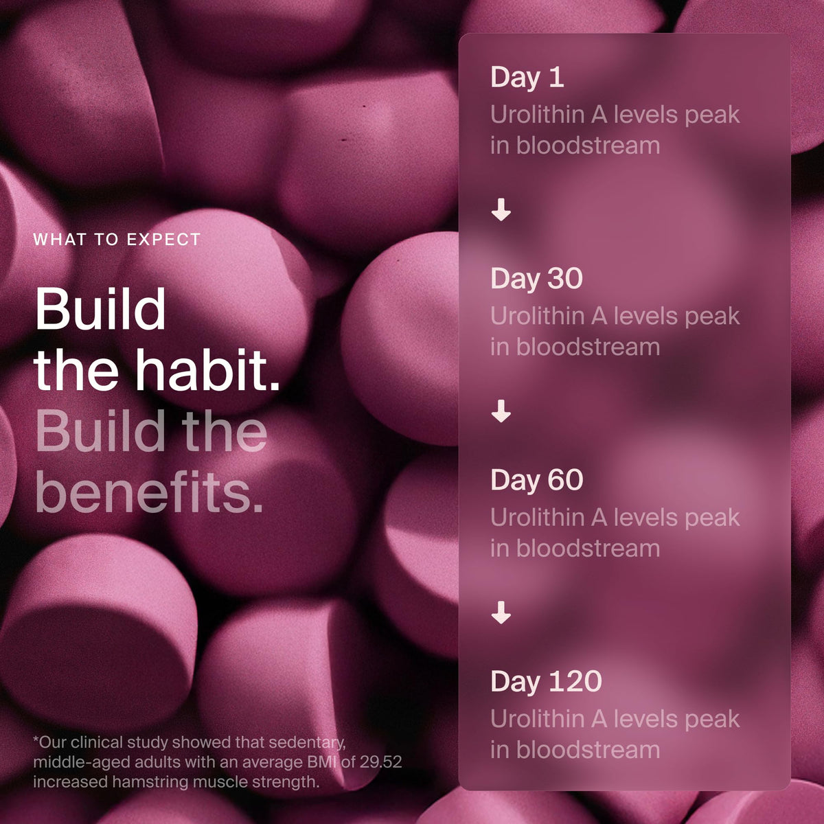 Timeline Mitopure Urolithin A Supplement Gummies - Clinically Proven Support for Healthy Aging Cellular Energy Muscle Strength and Longevity Timeline buy supplements Au