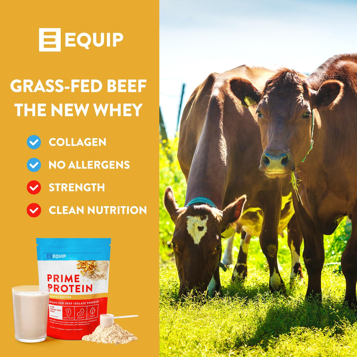 Equip Foods Prime Protein - Grass Fed Beef Protein Powder Isolate - Paleo and Keto Friendly EquipBuy Supplements Australia