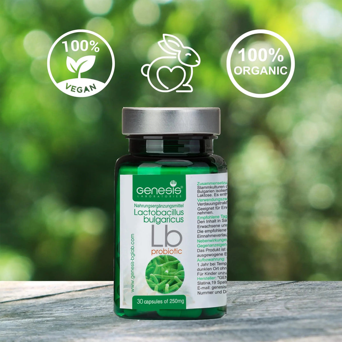 Probiotic Lactobacillus Supplement 30 Capsules with Lactobacillus Bulgaricus 250 mg Probiotic Digestive Immune Support Gut Health Probiotics for Digestive Health Anti Bloating Genesis LABORATORIES buy supplements Au