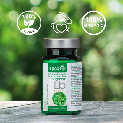 Probiotic Lactobacillus Supplement 30 Capsules with Lactobacillus Bulgaricus 250 mg Probiotic Digestive Immune Support Gut Health Probiotics for Digestive Health Anti Bloating Genesis LABORATORIES buy supplements Au