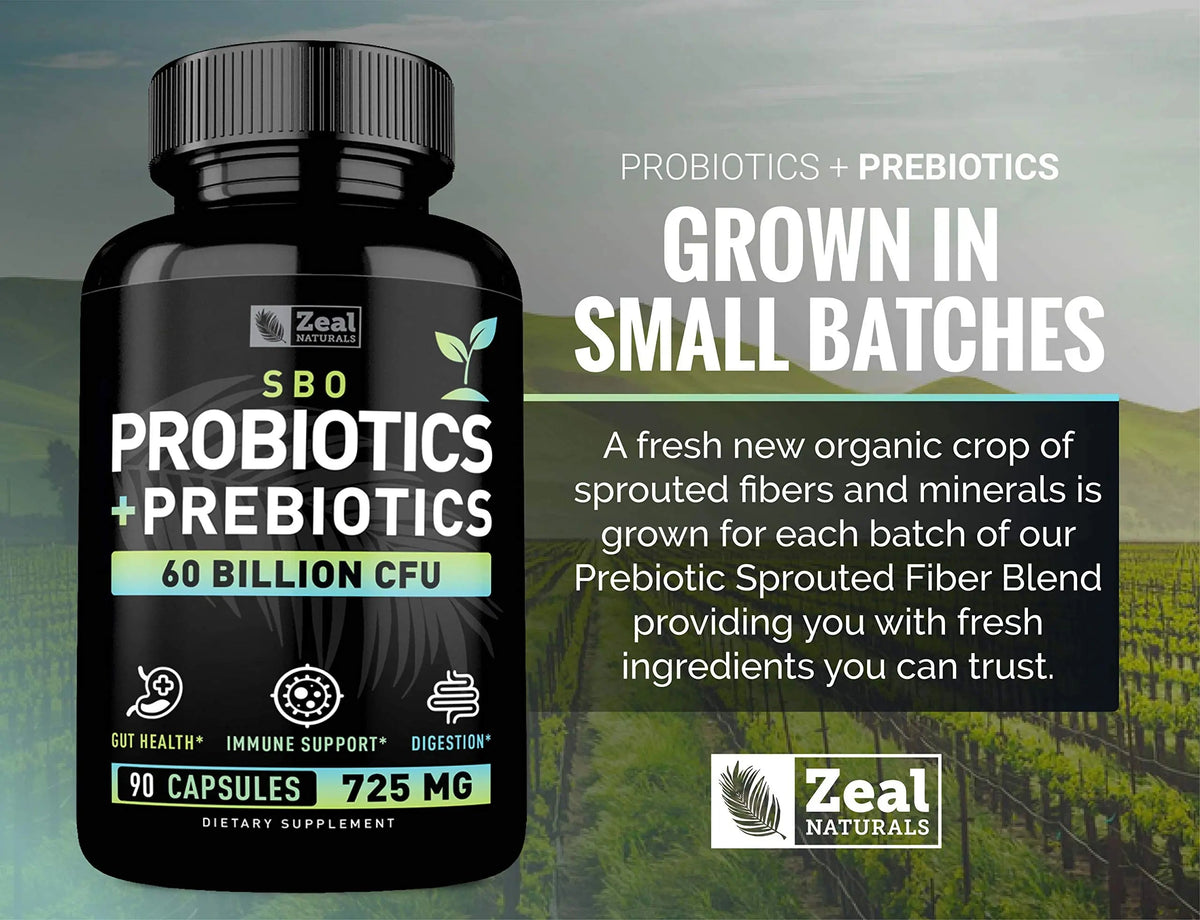 Probiotics and Prebiotics + SBO Probiotics (60 Billion CFU | 90 Capsules) Acidophilus Probiotic w. Saccharomyces Boulardii, Bifidobacterium + Spore Probiotic & Organic Sprouted Prebiotic Fiber Blend Zeal NaturalsBuy Supplements Australia