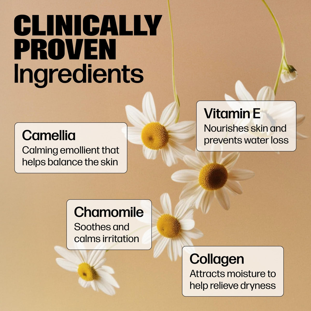 Medicine Mama's Apothecary Vmagic Gentle Feminine Wash pH Balanced to Cleanse and Rejuvenate Intimate Skin with Chamomile, Collagen, Vitamin E and Sage – Hormone Free — 8 oz Medicine Mama's ApothecaryBuy Supplements Australia