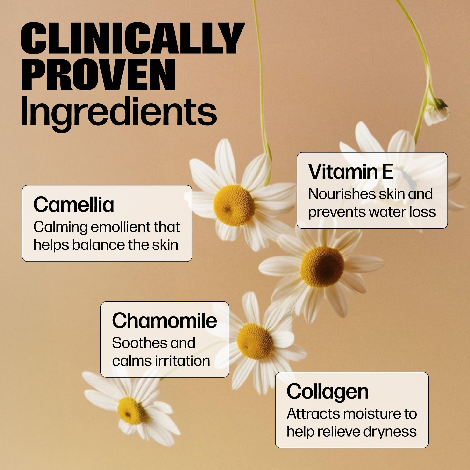 Medicine Mama's Apothecary Vmagic Gentle Feminine Wash pH Balanced to Cleanse and Rejuvenate Intimate Skin with Chamomile, Collagen, Vitamin E and Sage – Hormone Free — 8 oz Medicine Mama's ApothecaryBuy Supplements Australia