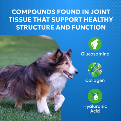 Nutramax Cosequin Elements Dog Joint Health Supplement with Glucosamine, Green Lipped Mussel, Omega-3s, Eggshell Membrane, Hyaluronic Acid, & Postbiotics, 75 Tasty Chewable Tablets for Dogs Nutramax LaboratoriesBuy Supplements Australia