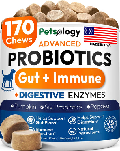 Probiotics for Dogs - 170 Dog Probiotics Chews - Digestive Enzymes & Prebiotics - Support Gut Health, Diarrhea, Gas & Constipation Relief - Itchy Skin, Allergies, Yeast Balance - Advanced Supplement Petsology buy supplements Au