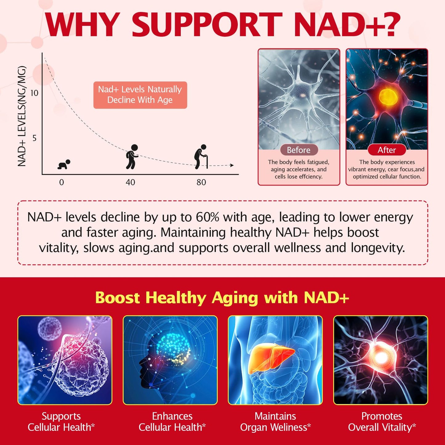 KITNOBLIS NAD+ Supplement for Women 1000mg - High Potency Cellular Energy Booster with PQQ, Resveratrol - Health, Anti-Aging Support （21pcs） KITNOBLISBuy Supplements Australia