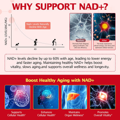 KITNOBLIS NAD+ Supplement for Women 1000mg - High Potency Cellular Energy Booster with PQQ, Resveratrol - Health, Anti-Aging Support （21pcs） KITNOBLISBuy Supplements Australia