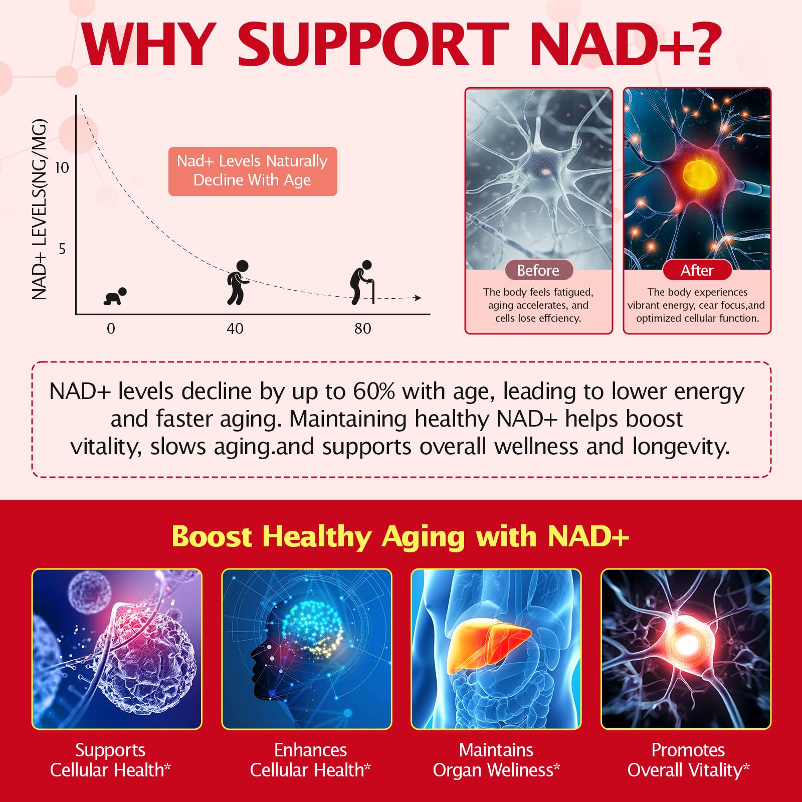 KITNOBLIS NAD+ Supplement for Women 1000mg - High Potency Cellular Energy Booster with PQQ, Resveratrol - Health, Anti-Aging Support （21pcs） KITNOBLISBuy Supplements Australia