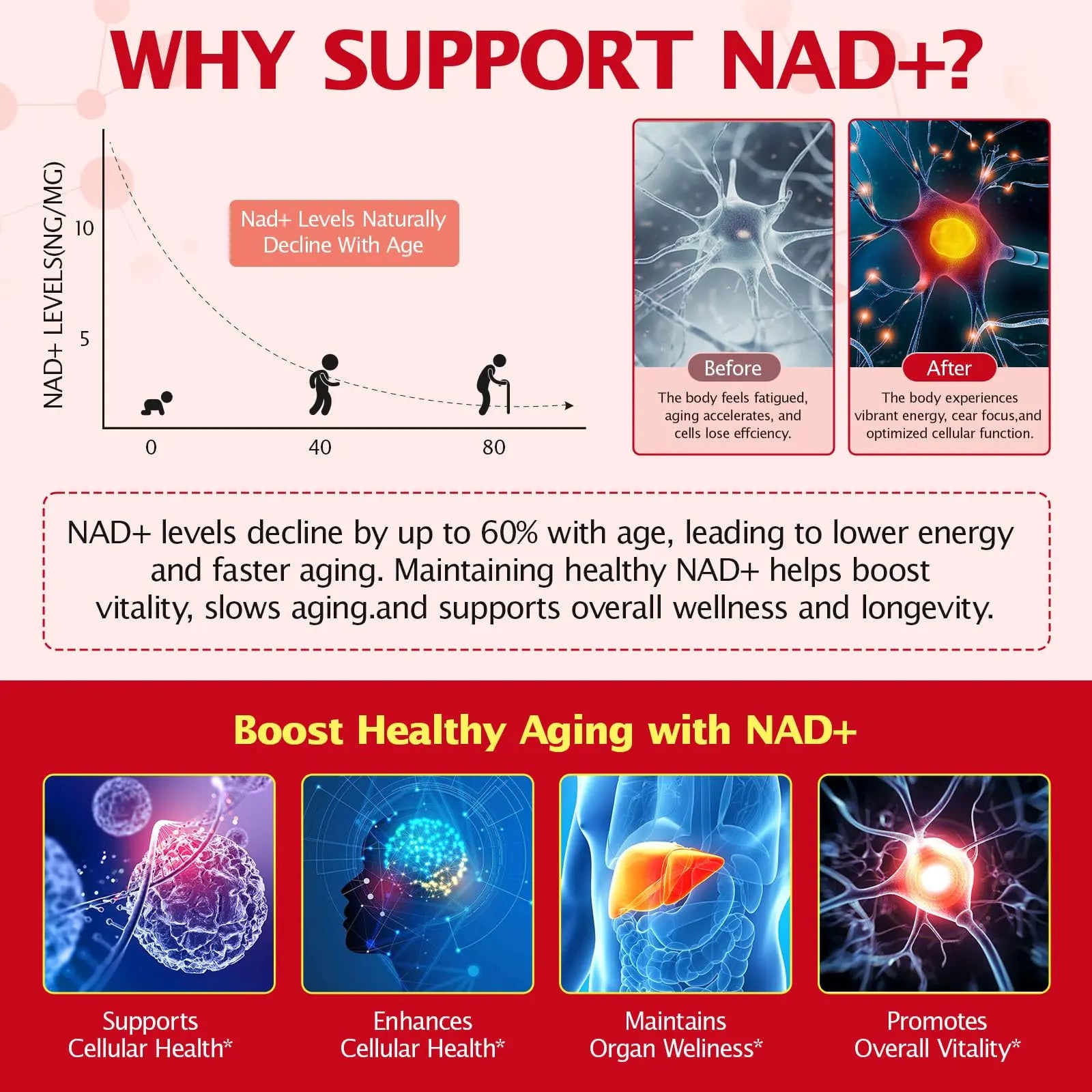 bnHUlMXw NAD Liquid Supplement,1000mg Premium Nicotinamide Riboside & Resveratrol,NAD+ Berry Flavor Drink Mix for Skin Aging Support,Boosts Cellular Energy – NAD Supplements for Men & Women,30 Packs bnHUlMXwBuy Supplements Australia
