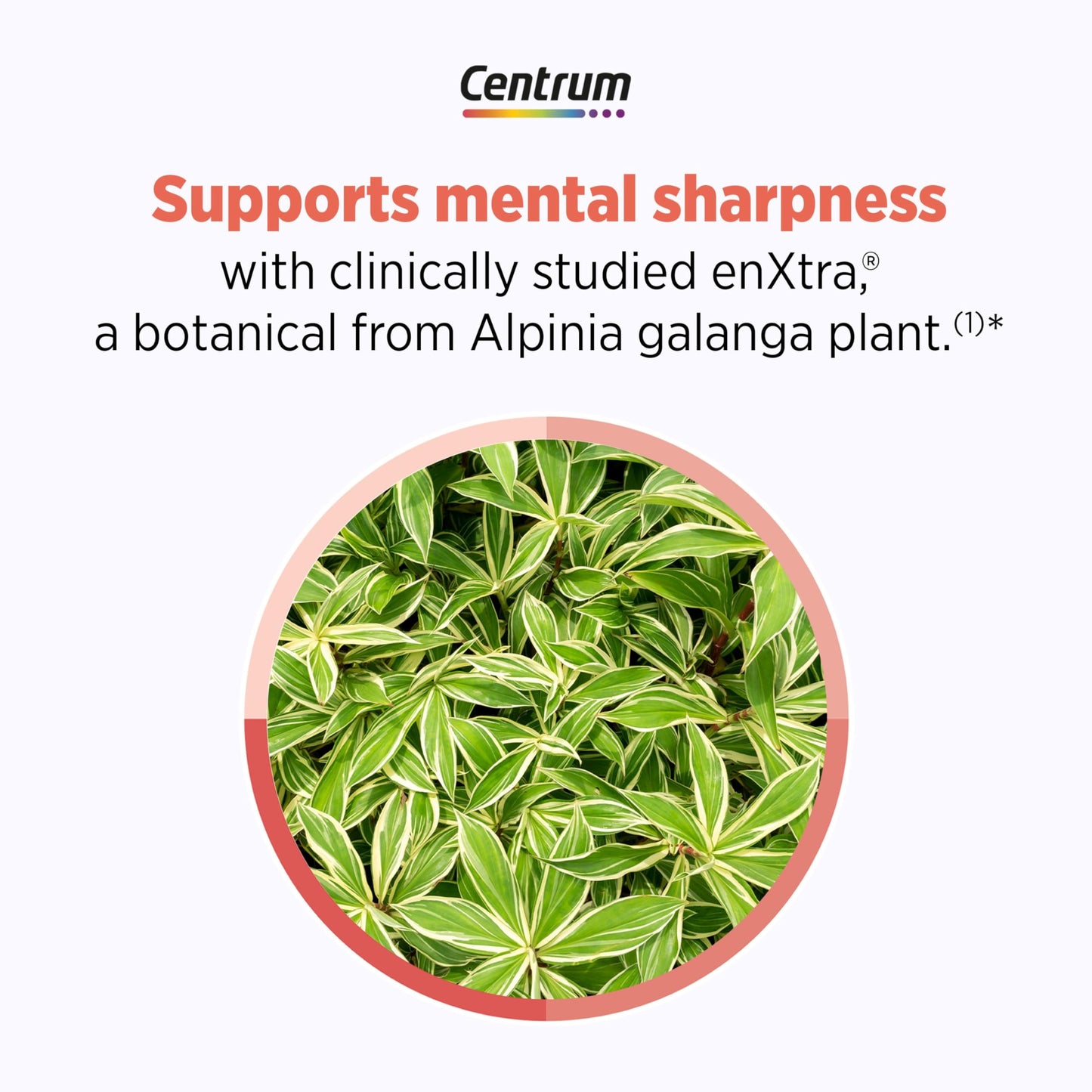 Centrum Clear Mind and Calm Mood Menopause Support Tablets, with Clinically Studied enXtra, 30 Count CentrumBuy Supplements Australia