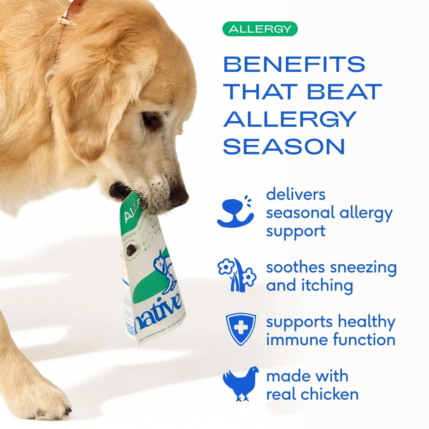 Native Pet Dog Allergy Chews - Dog Allergy Relief for Medium Breeds - Supports Seasonal Itch Relief, Healthy Immune Function & Reduces Sneezing - Colostrum, Spirulina, & Probiotics - 30 Days Supply Native PetBuy Supplements Australia