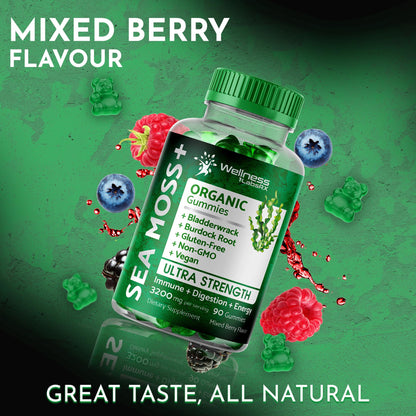 WELLNESS LABSRX Sea Moss Gummies, 3200mg Organic Seamoss, Irish Sea Moss WELLNESS LABSRXBuy Supplements Australia