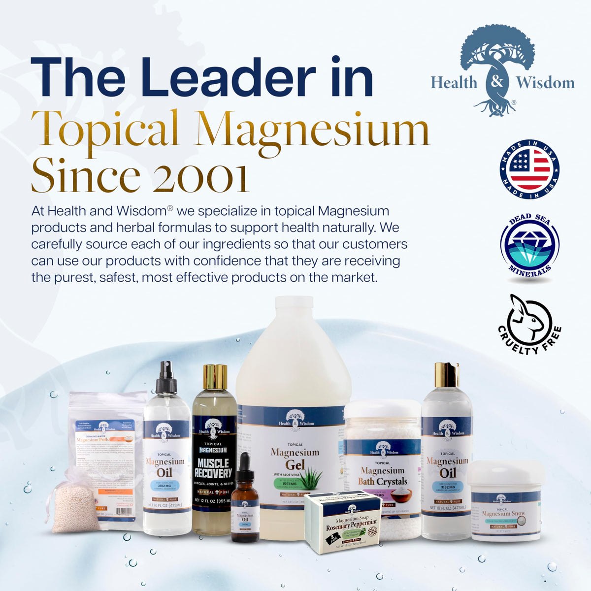 Health and Wisdom Pure Magnesium Gel with Seaweed Extract and Aloe Vera - Topical Muscle & Joint Relief- Natural and Pure Skin & Scalp Moisturizing - Enhanced Absorption - 12 Fl oz Health and WisdomBuy Supplements Australia