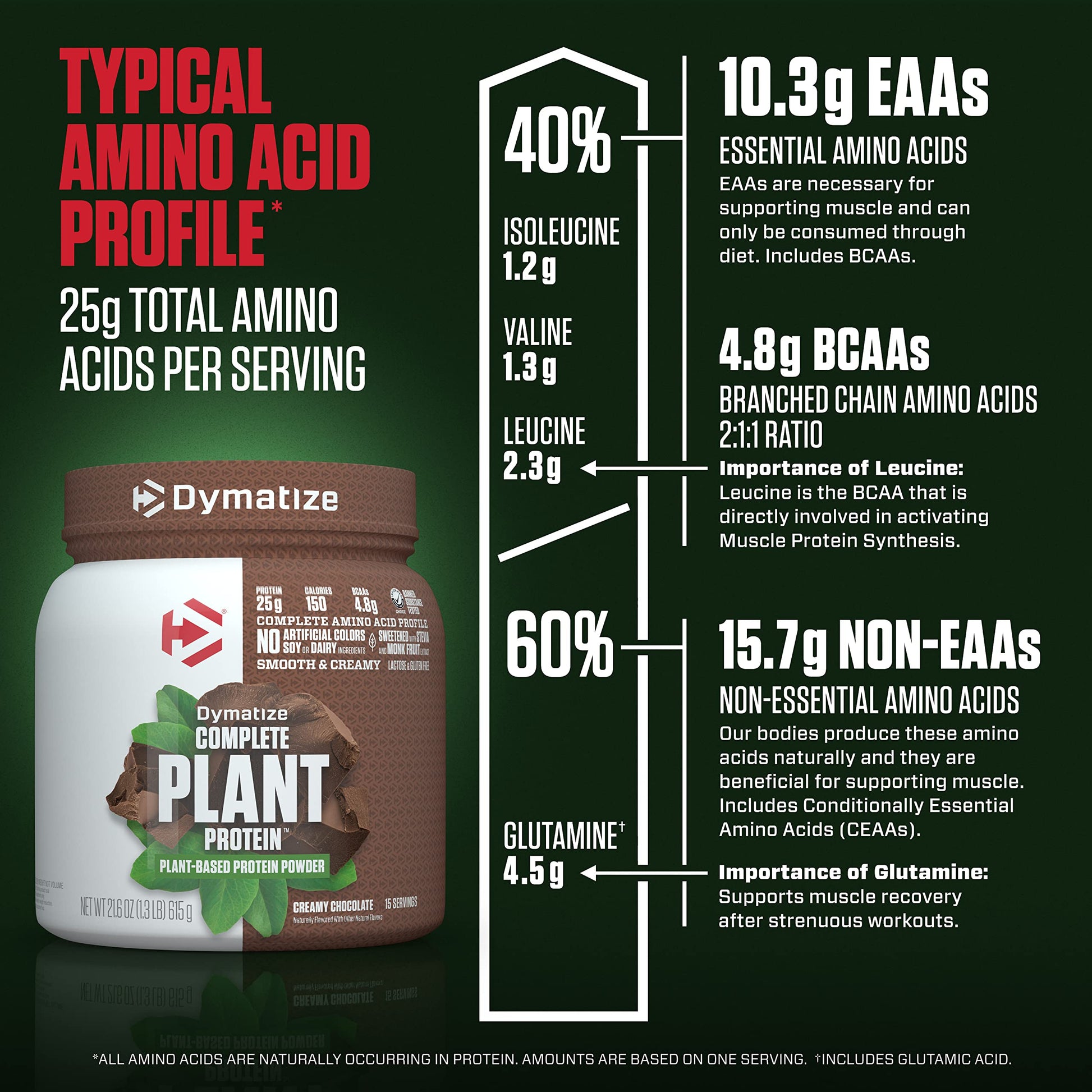 Dymatize Vegan Plant Protein, Creamy Chocolate, 25g Protein, 4.8g BCAAs, Complete DymatizeBuy Supplements Australia