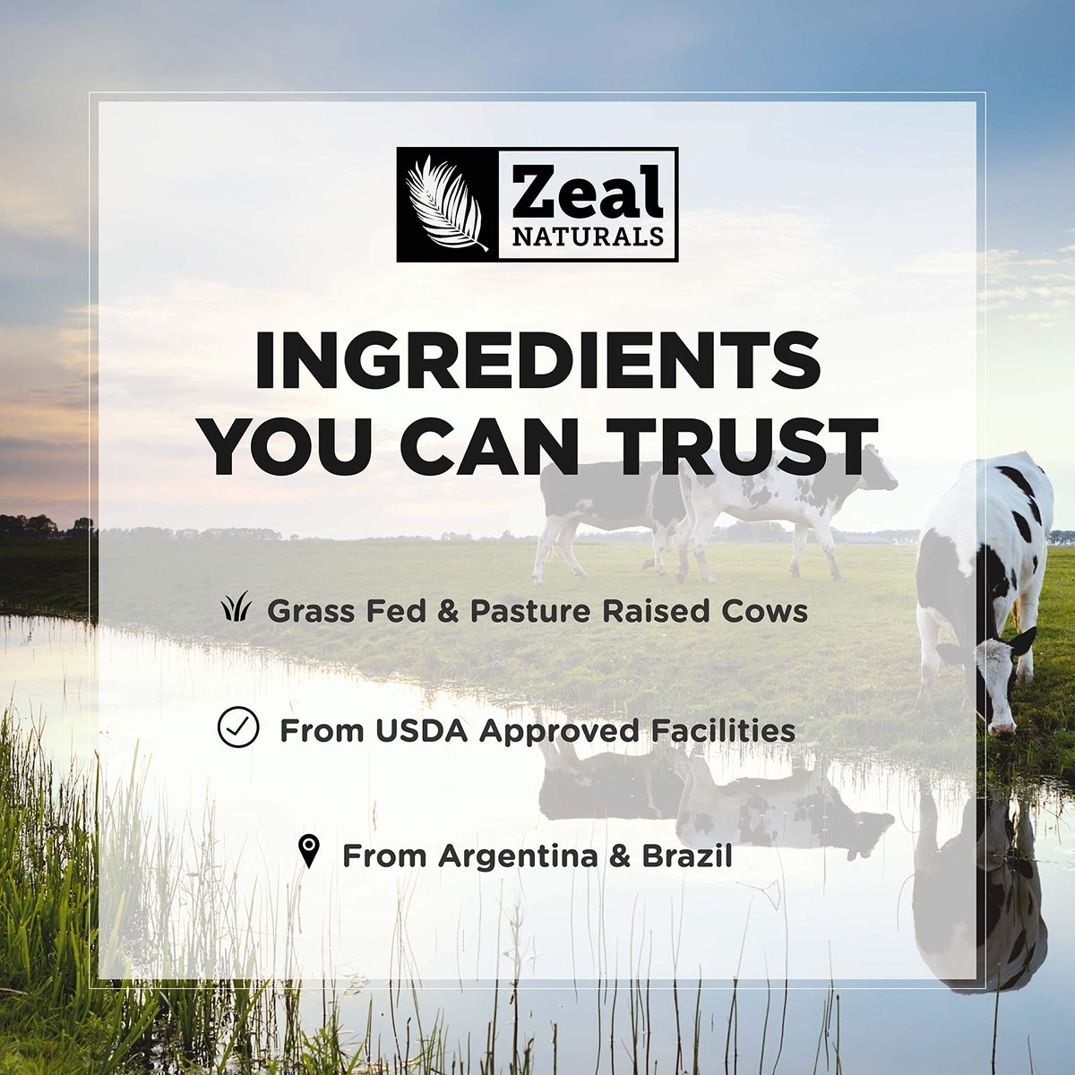 Zeal Naturals Collagen Peptides Collagen Pills (360 Capsules) Grass Fed Collagen Pepetide Powder - Hydrolyzed Collagen Powder for JointTendon SupplementHair Skin and Nails - Zeal NaturalsBuy Supplements Australia