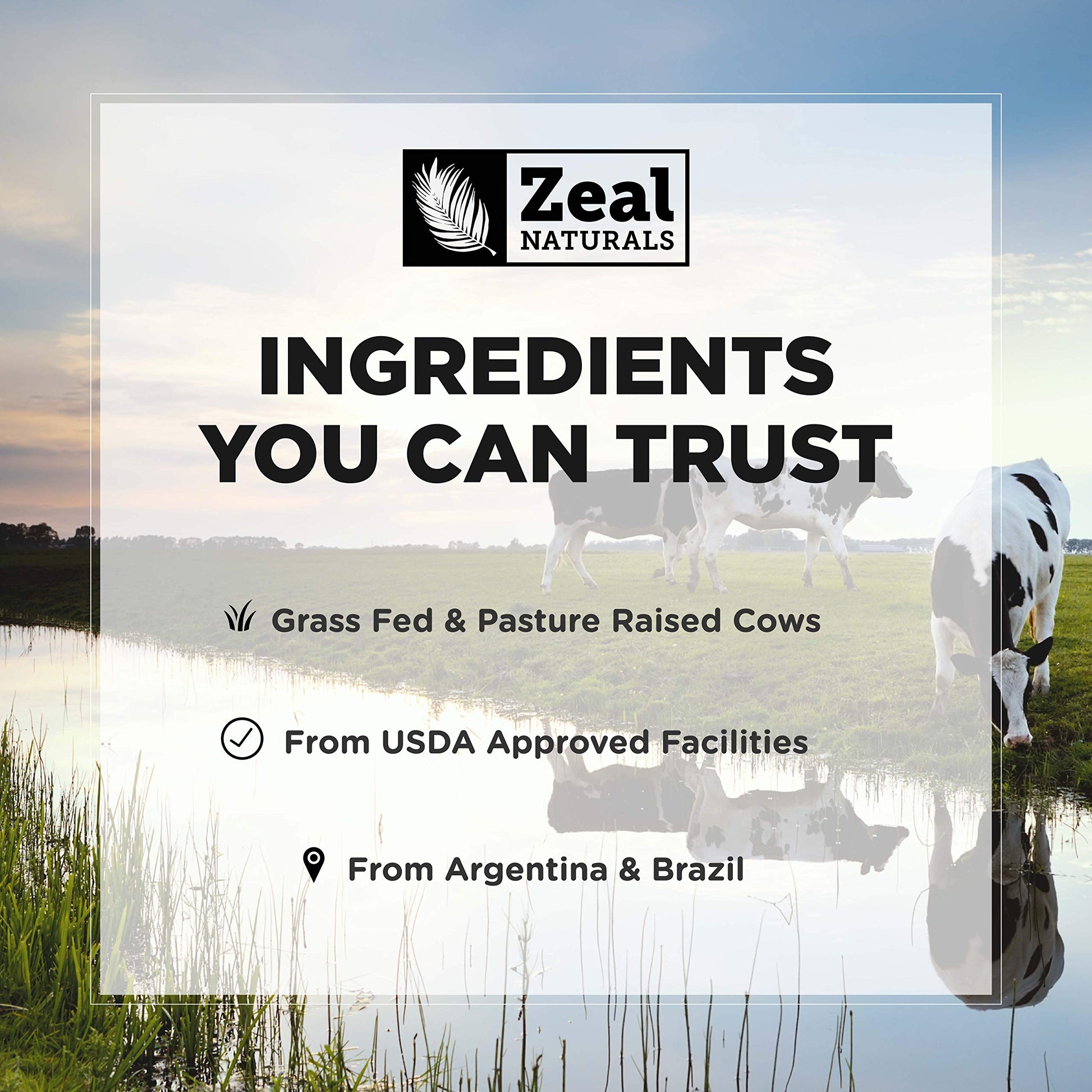Zeal Naturals Collagen Peptides Collagen Pills (360 Capsules) Grass Fed Collagen Pepetide Powder - Hydrolyzed Collagen Powder for JointTendon SupplementHair Skin and Nails - Zeal NaturalsBuy Supplements Australia