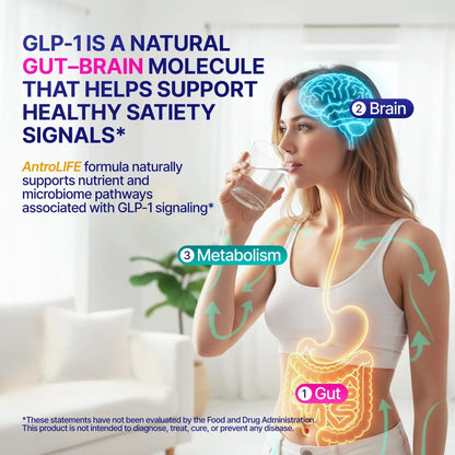 GLP-1 Support – Akkermansia Postbiotic 10B TFU + Berberine HCl 250 mg | 18-Ingredient System | Appetite, Mood & Metabolic Support | Inulin-Free | Saffron, NAD+ Cofactors | 3 Pack | 90-Day Supply ANTROLIFEBuy Supplements Australia