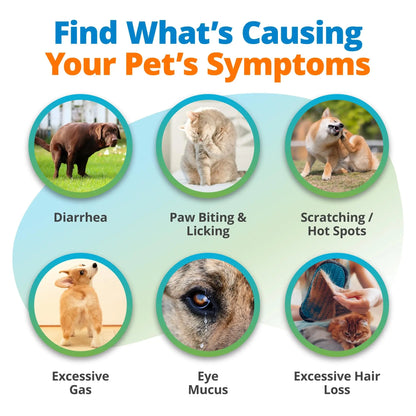 5Strands Raw & Fresh Pet Food Intolerance Test, at Home Gut Health Test for Dogs & Cats, 400+ Raw & Gently Cooked Fresh Food Items Tested, Accurate for All Ages & Breeds, Fast 4 Day Results 5StrandsBuy Supplements Australia