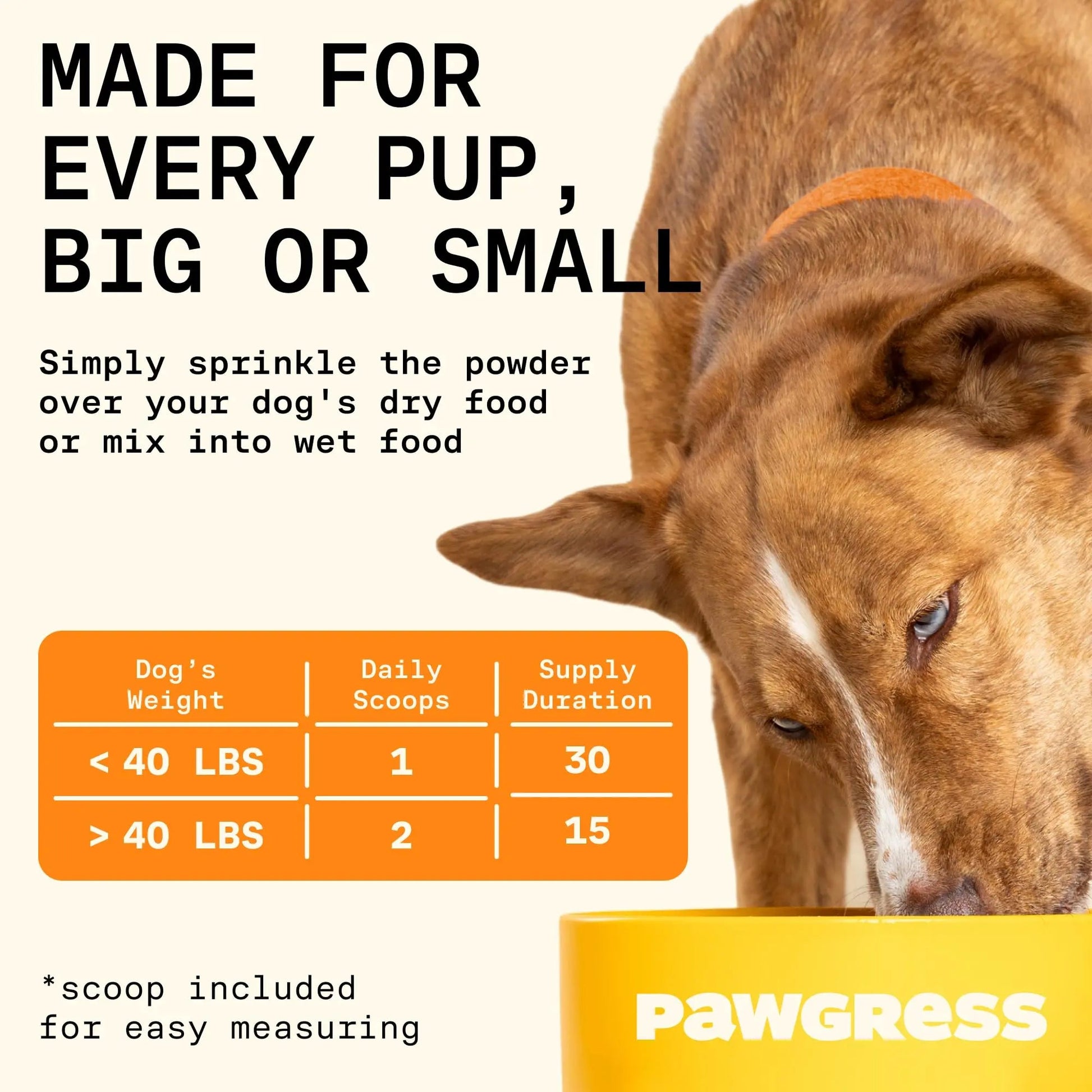 Pawgress 5-in-1 Dog Probiotic Powder – 100% Natural Gut Health Support with Prebiotics, Postbiotics & Enzymes - Made in USA – 30 Scoops PAWGRESSBuy Supplements Australia