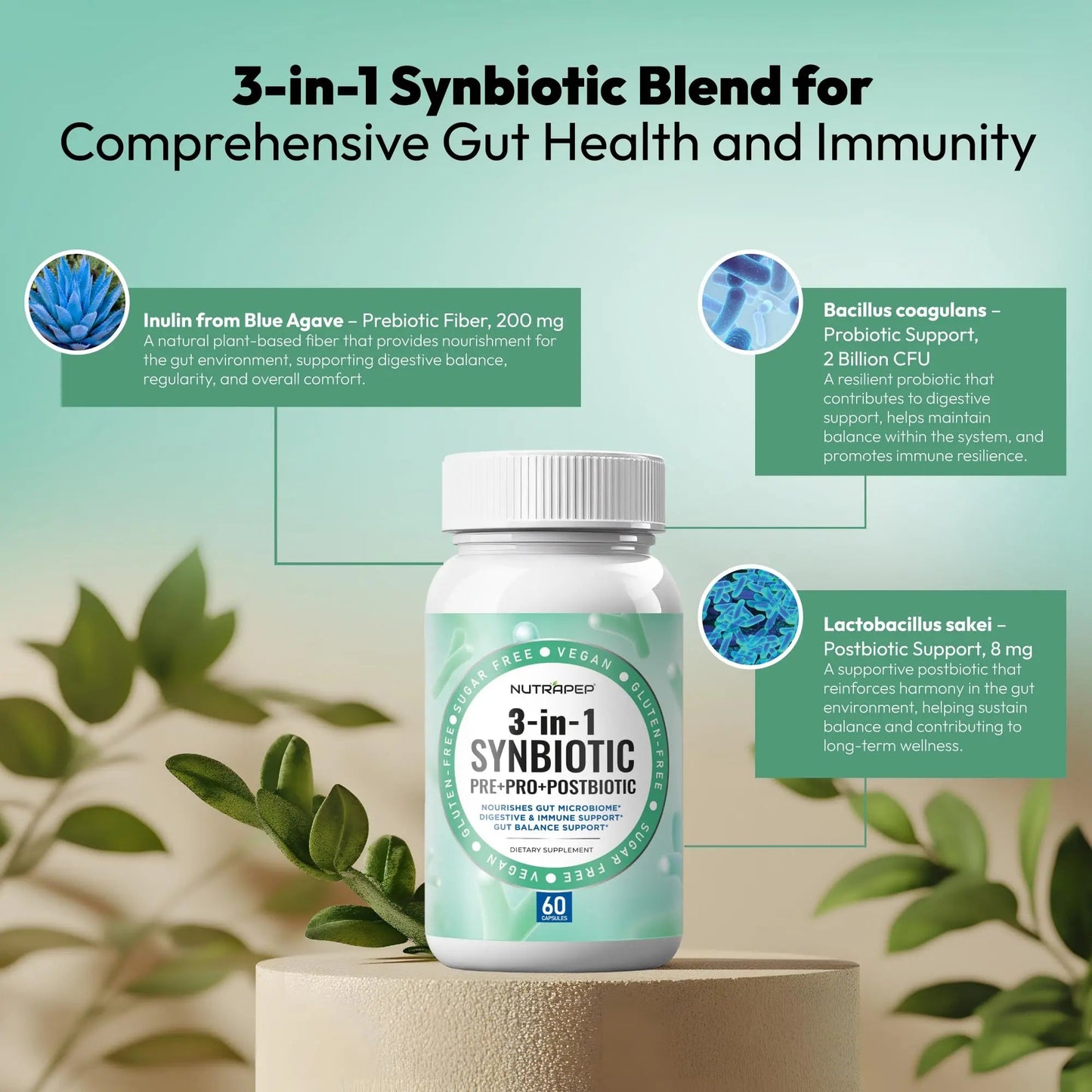 NutraPep Synbiotics Probiotic Prebiotic Postbiotic - Daily Gut Health Support with Pre Pro & Post Biotics for Men Women - Digestive & Immune Support Balance Synbiotic Supplement - Vegan Gluten Free NutraPepBuy Supplements Australia