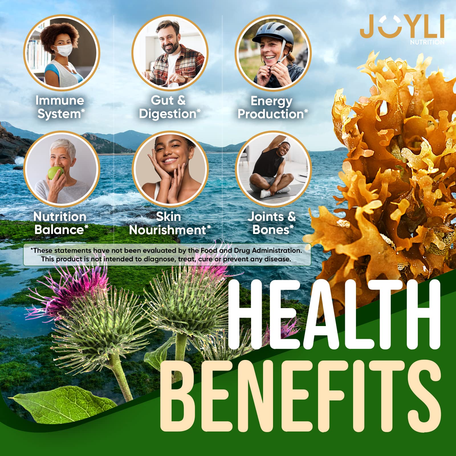 Sea Moss Gummies - Irish Seamoss Gummies for Adults & Kids - Advanced Superfood JOYLI NutritionBuy Supplements Australia