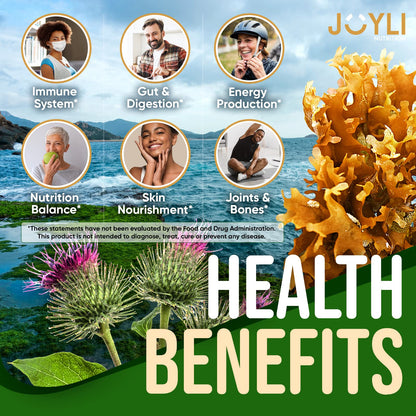 Sea Moss Gummies - Irish Seamoss Gummies for Adults & Kids - Advanced Superfood JOYLI NutritionBuy Supplements Australia
