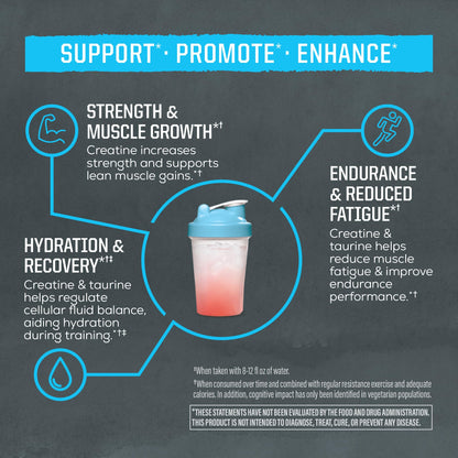 Creatine Monohydrate Powder Taurine Supplement, 5g Creatine Monohydrate 1g Taurine per Serving | Vegan Muscle Strength, Endurance & Recovery Support, Clean Performance Formula | 60 Servings Unflavored SunwarriorBuy Supplements Australia