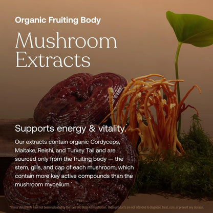 True Grace One Daily Women’s Multivitamin Fermented Minerals, Organic Adaptogens & Mushrooms Whole Body Balance, Immune, Energy, Beauty Support True Grace