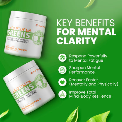 SaltWrap Adaptogen Greens - Mind-Body Resilience Formula - Caffeine-Free Nootropic for Stress, Focus, and Cognitive Performance - 90 Capsules SaltWrapBuy Supplements Australia
