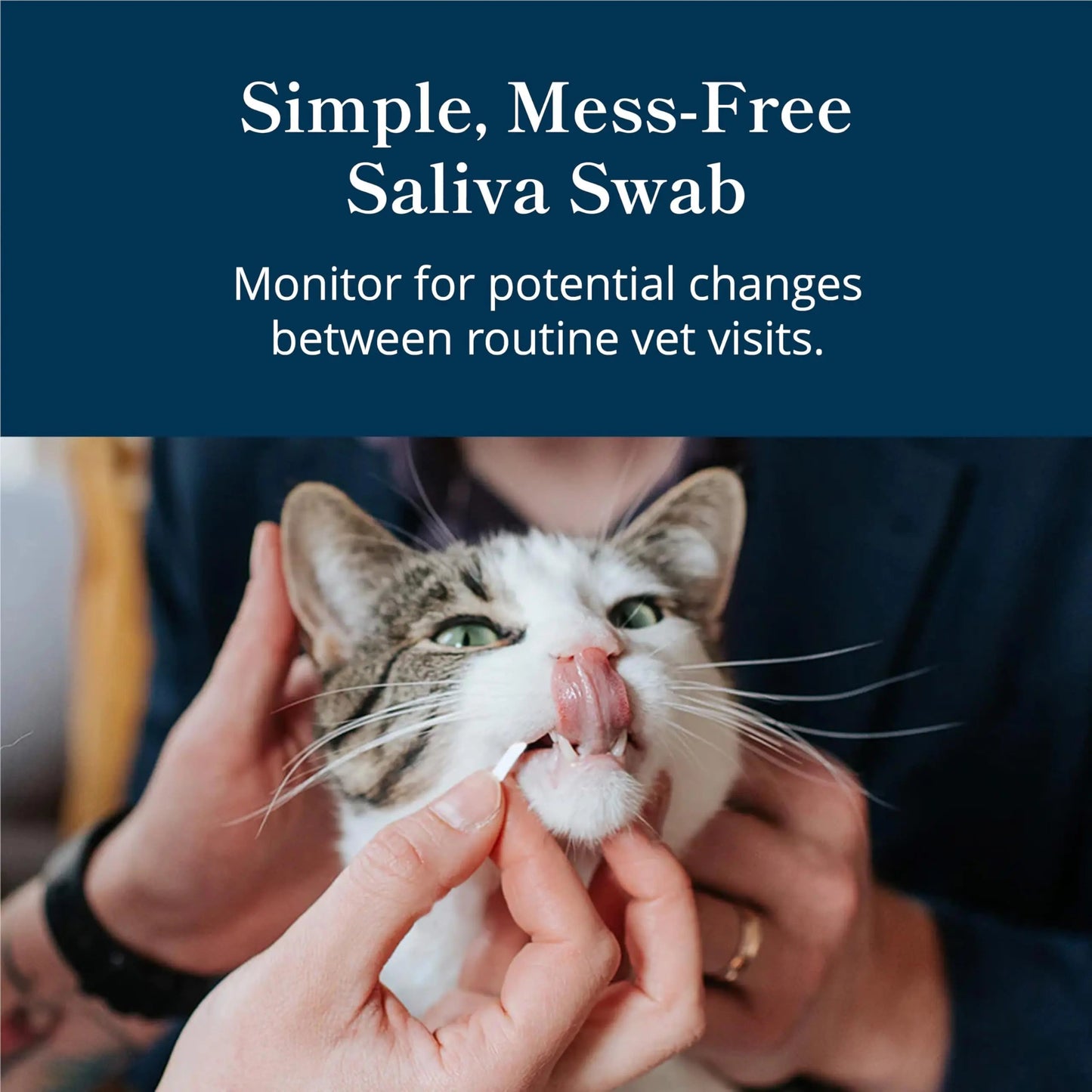 Petivity At-Home Kidney Health Test Kit for Cats — Quick Saliva Urea Test (2-Minute Home Check), Powered by Purina — Help Detect Early Kidney Changes - (Pack of 3) petivityBuy Supplements Australia