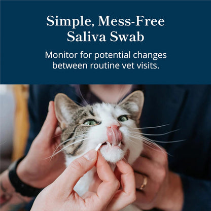 Petivity At-Home Kidney Health Test Kit for Cats — Quick Saliva Urea Test (2-Minute Home Check), Powered by Purina — Help Detect Early Kidney Changes - (Pack of 3) petivityBuy Supplements Australia