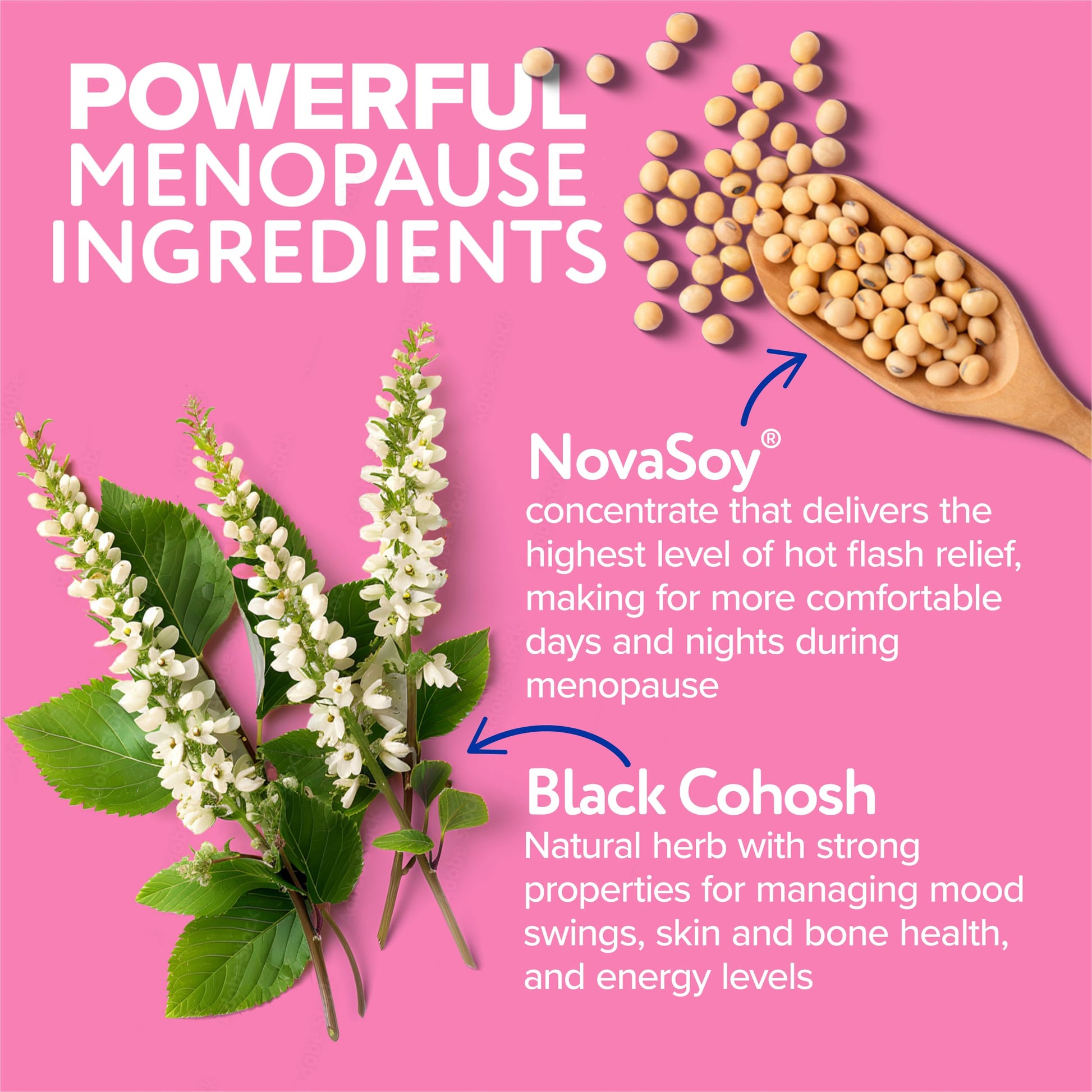 Florajen Triple-Action Menopause Probiotic - Hormonal Balance, Hot Flash, & Mood Swing Relief - Weight Management & Digestive Support - Featuring Berberine, Black Cohosh, & Botanical - 30 Capsules FlorajenBuy Supplements Australia