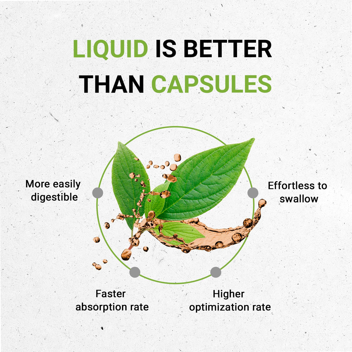 Secrets of the Tribe Mistletoe Tincture Alcohol-Free Liquid Extract, Mistletoe Secrets of the TribeBuy Supplements Australia