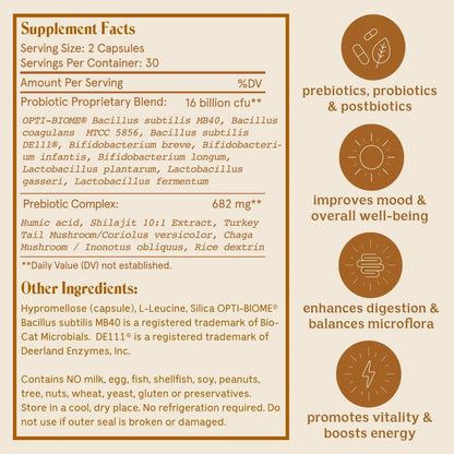 Feel Good SBO Probiotics — Soil Based Organisms (SBOs), Prebiotics, Postbiotics, Humic Acid, Shilajit, Chaga & Turkey Tail Mushroom for Digestion — Solluna by Kimberly Snyder (60CT) Vegan & Non-GMO Solluna by Kimberly SnyderBuy Supplements Australia