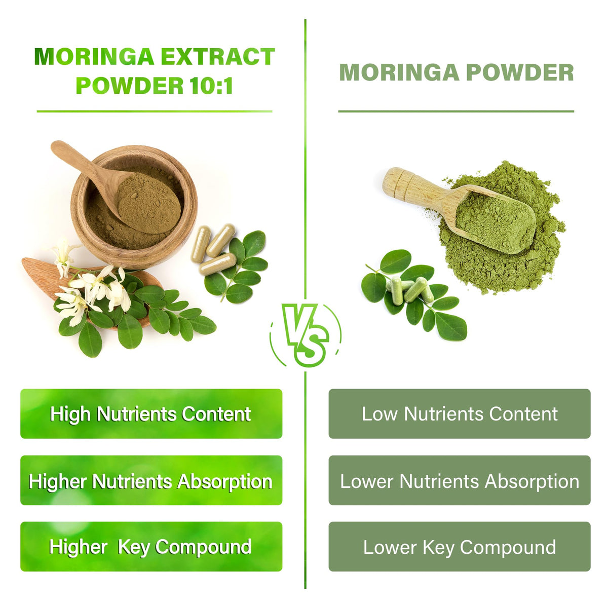 Moringa Capsules| Moringa Oleifera |10,000mg| 300 Capsules| 100% Pure| Non-GMO FitVitalityBuy Supplements Australia