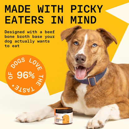 Pawgress 5-in-1 Dog Probiotic Powder – 100% Natural Gut Health Support with Prebiotics, Postbiotics & Enzymes - Made in USA – 30 Scoops PAWGRESSBuy Supplements Australia