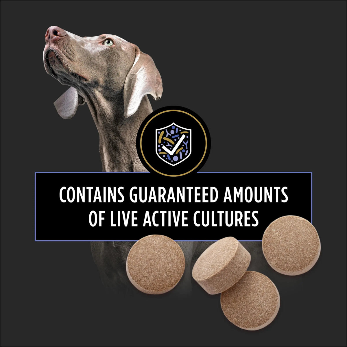 Purina Pro Plan Veterinary Supplements FortiFlora Daily Probiotics for Dogs Chewable Tablets for Digestive Gut Health and Diarrhea - 90 ct. Canister Pro Plan Veterinary DietsBuy Supplements Australia