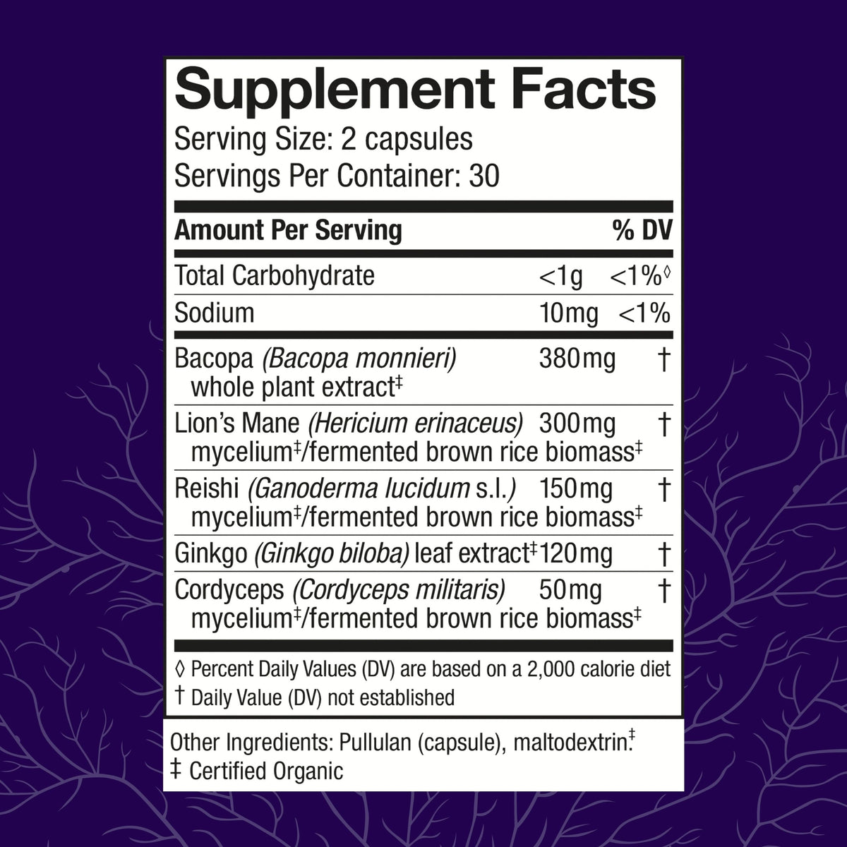 Host Defense MycoBotanicals Brain* Capsules - Brain Support Supplement with Lion's Mane, Reishi & Cordyceps Mushroom - Herbal Supplement for Memory & Focus Support - 60 Capsules Host DefenseBuy Supplements Australia