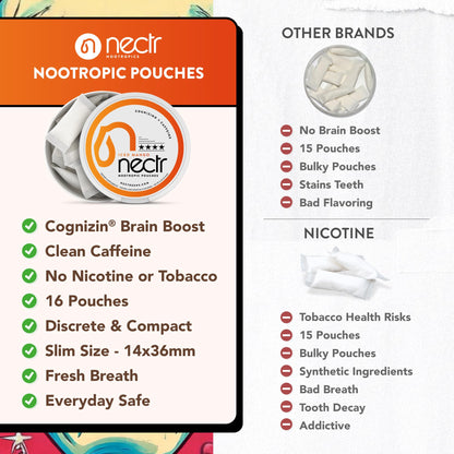 Nectr Energy Nootropic Pouches – Berry Blast Flavored, Caffeine Pouches with Cognizin® Citicoline. Sugar-Free Brain Treats. Smooth, Sustained Focus & Energy Supplement - 1 Puck of 16pcs NectrBuy Supplements Australia