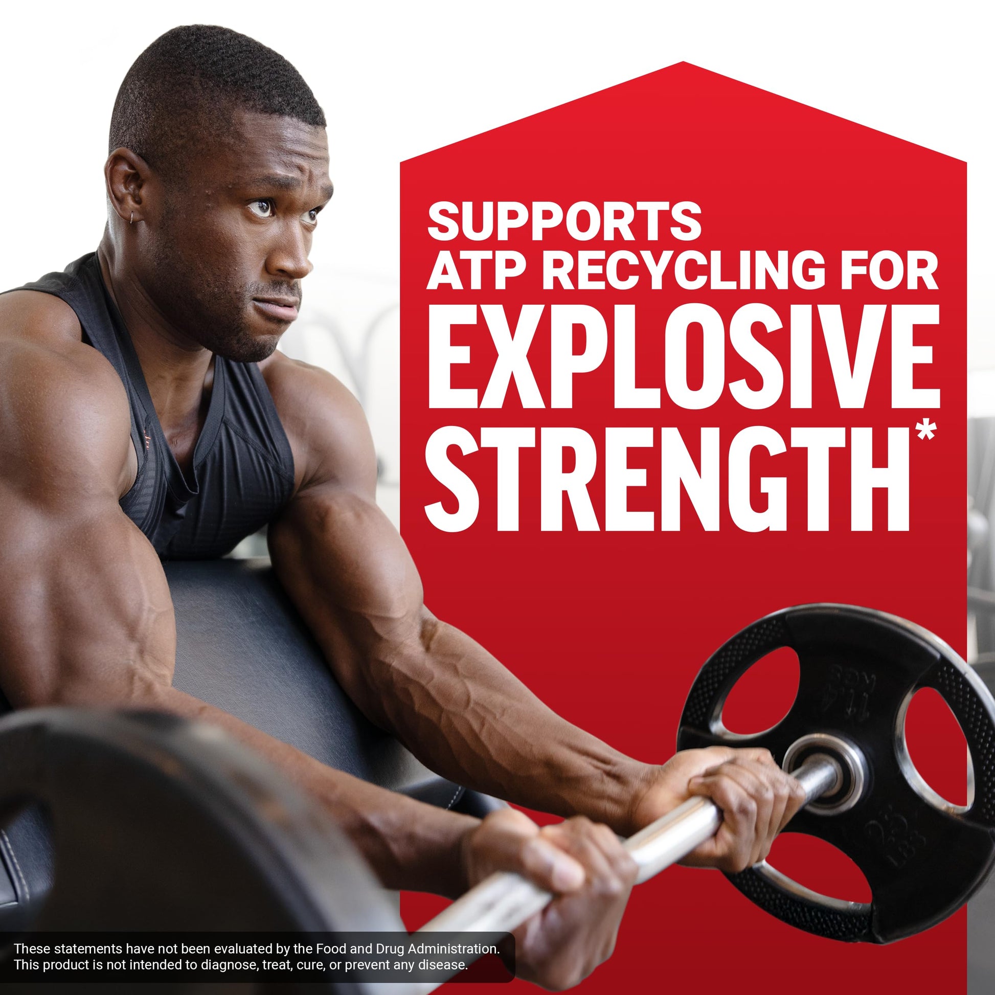Force Factor Creatine Monohydrate Powder, 5g Micronized Dose to Support Muscle Growth, Strength, Recovery, Cognitive Health & Memory, Unflavored, 200 Servings Force FactorBuy Supplements Australia