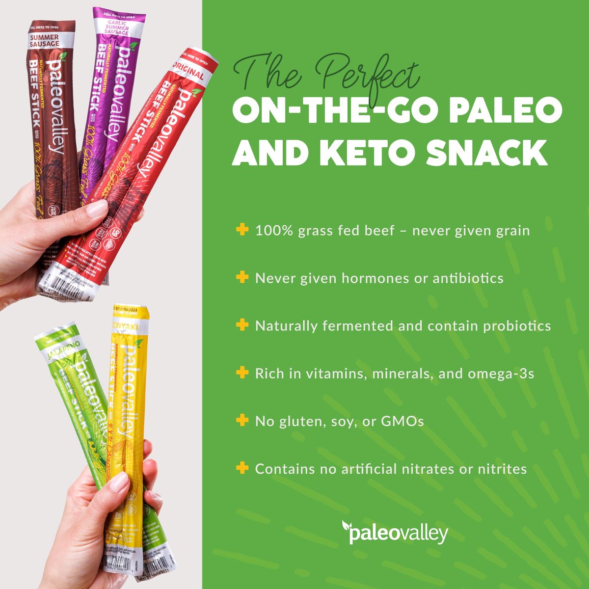Paleovalley 100% Grass Fed Beef Sticks - Delicious Gluten Free Beef Snack - High Protein Keto Friendly, 50 Count Variety Pack PaleovalleyBuy Supplements Australia