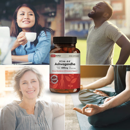 DailyNutra KSM-66 Ashwagandha 600mg Organic Root Extract - High Potency Supplement with 5% Withanolides | Relieves Tiredness, Supports Relaxation, Focus, Energy, & Muscle Growth (90 Capsules) DailyNutraBuy Supplements Australia